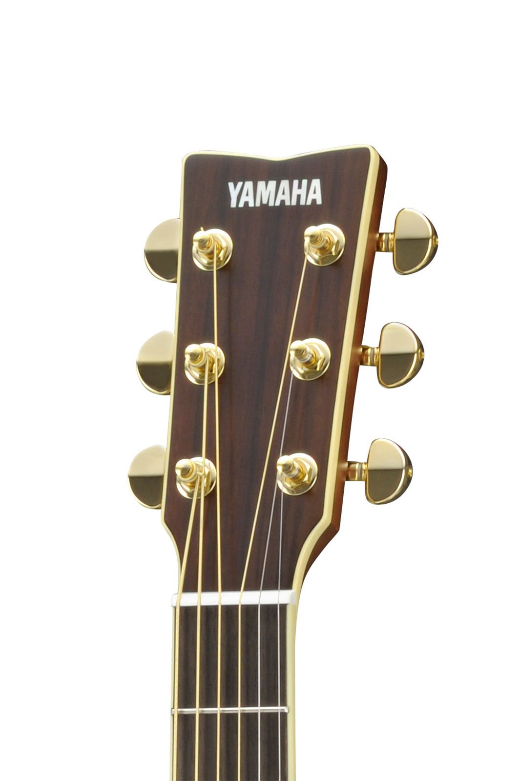 Amazon.com: Yamaha L-Series LL6 Acoustic-Electric Guitar